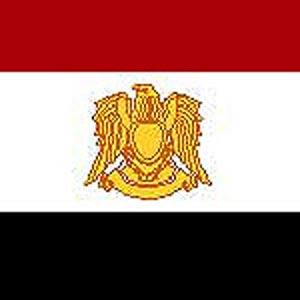 سفير جديد مصر در عراق معرفى شد